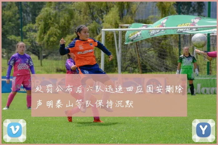 处罚公布后六队迅速回应国安删除声明泰山等队保持沉默