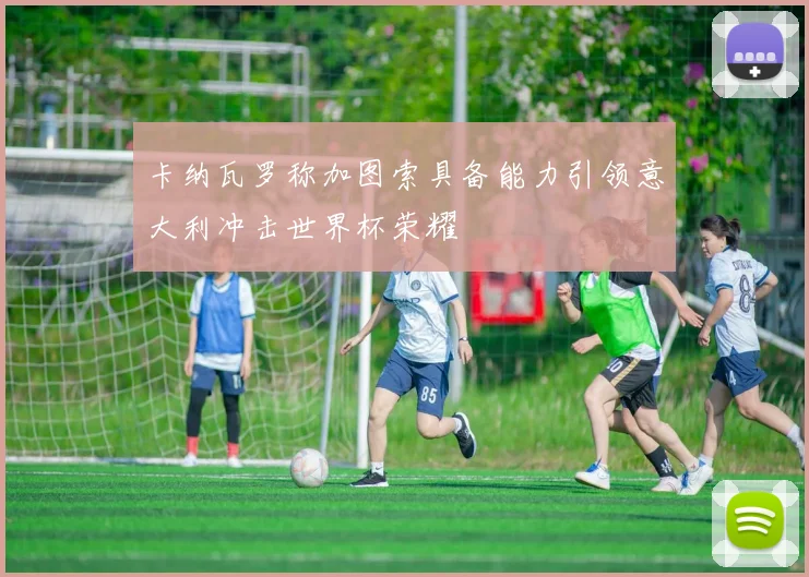卡纳瓦罗称加图索具备能力引领意大利冲击世界杯荣耀